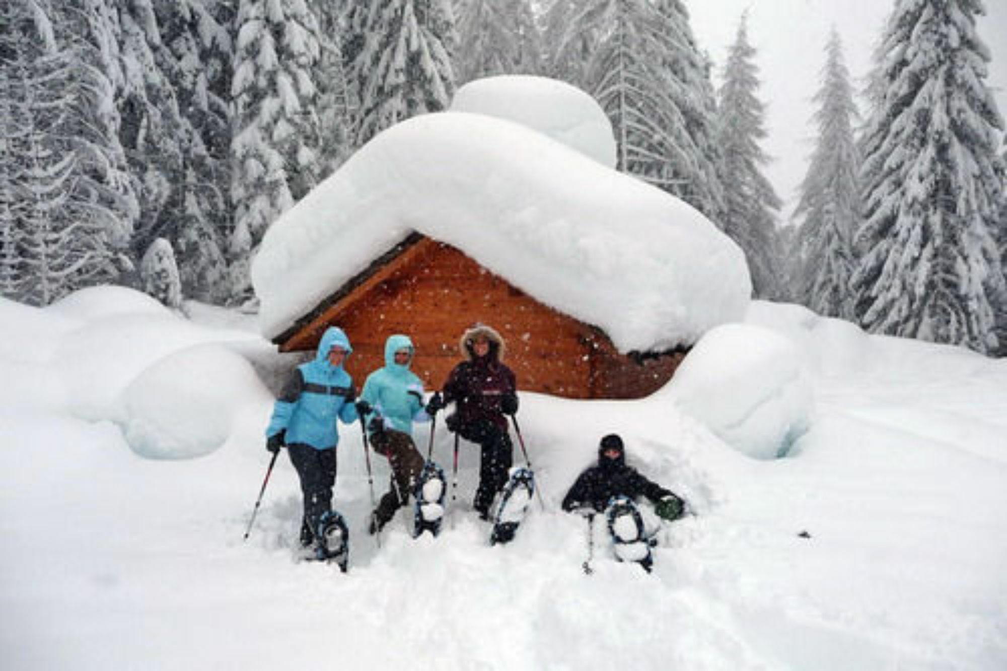 Hotel Royal Cortina 3*